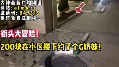 【完整版30分钟已上传下面简阶】